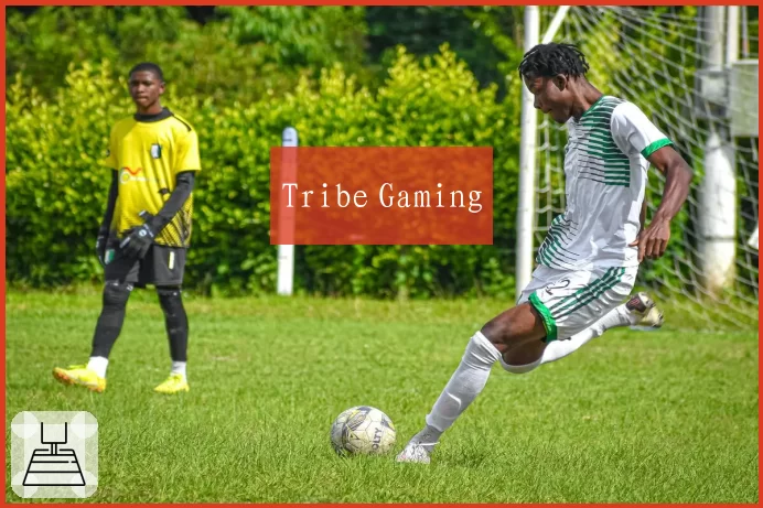 Tribe Gaming