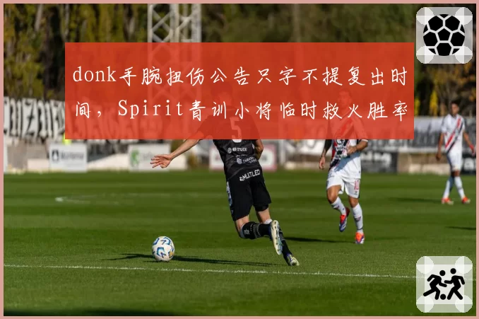 donk手腕扭伤公告只字不提复出时间,Spirit青训小将临时救火胜率几何?